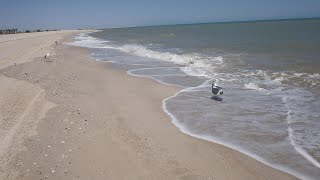 Tidal Symphony: The Sound of Waves and Ambient Music, watch the tide move the shells over time.