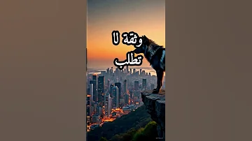 ثلاث صفات ترفعك فوق الضجيج اقتباسات حكمة اليوم اقوال و حكم كلام من ذهب دروس الزمان 