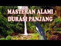 Masteran Terapi Air Durasi Panjang Kacer Murai Lovebird Omkicau(.mp3 .mp4) Mp3 - Mp4 Download