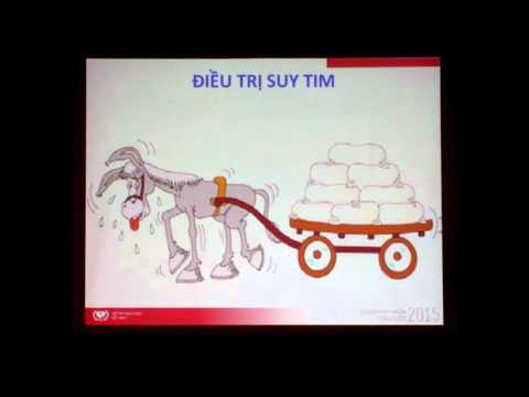 Cập nhật điều trị suy tim mạn