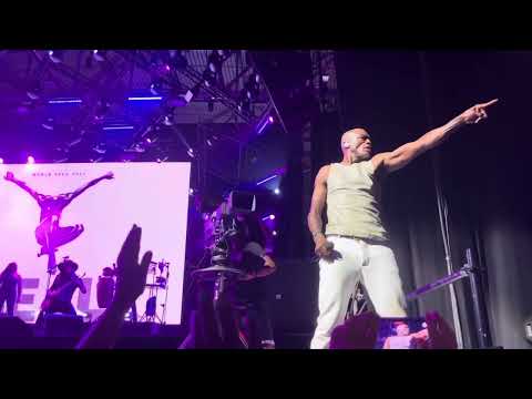 Seal Killer North Sea Jazz 2023 Rotterdam