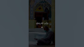 اكتب شئ تؤجر عليه 🤍#سورة_النصر #قران_كريم #ماهر_المعيقلي