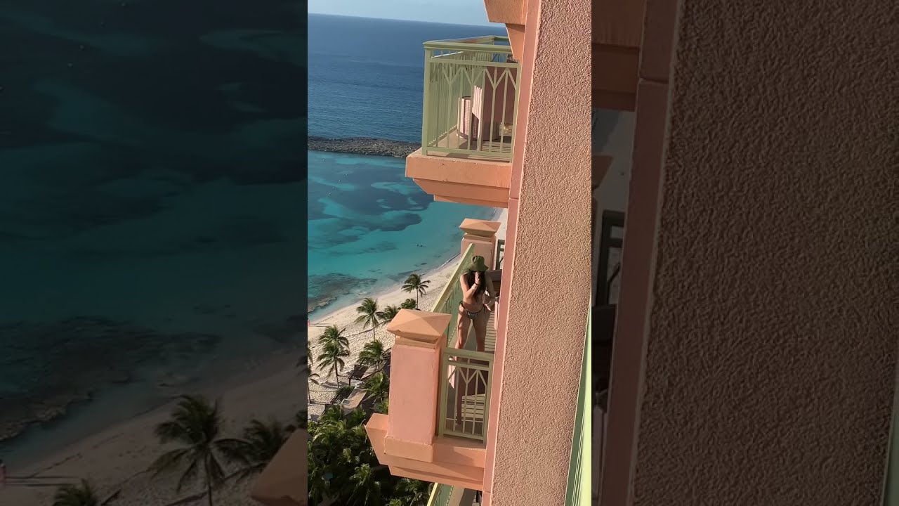 Steve Irwin Faces TikToker