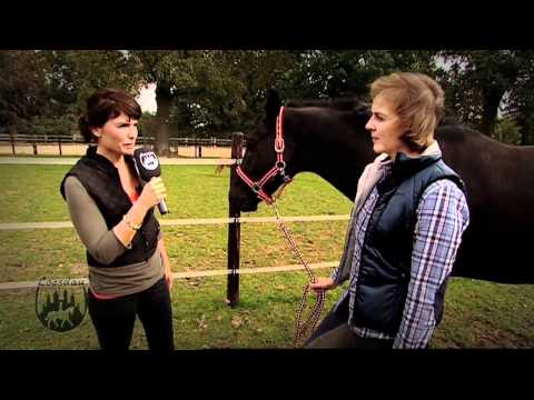 Video: Grundregeln Für Den Umgang Mit Einem Pferd