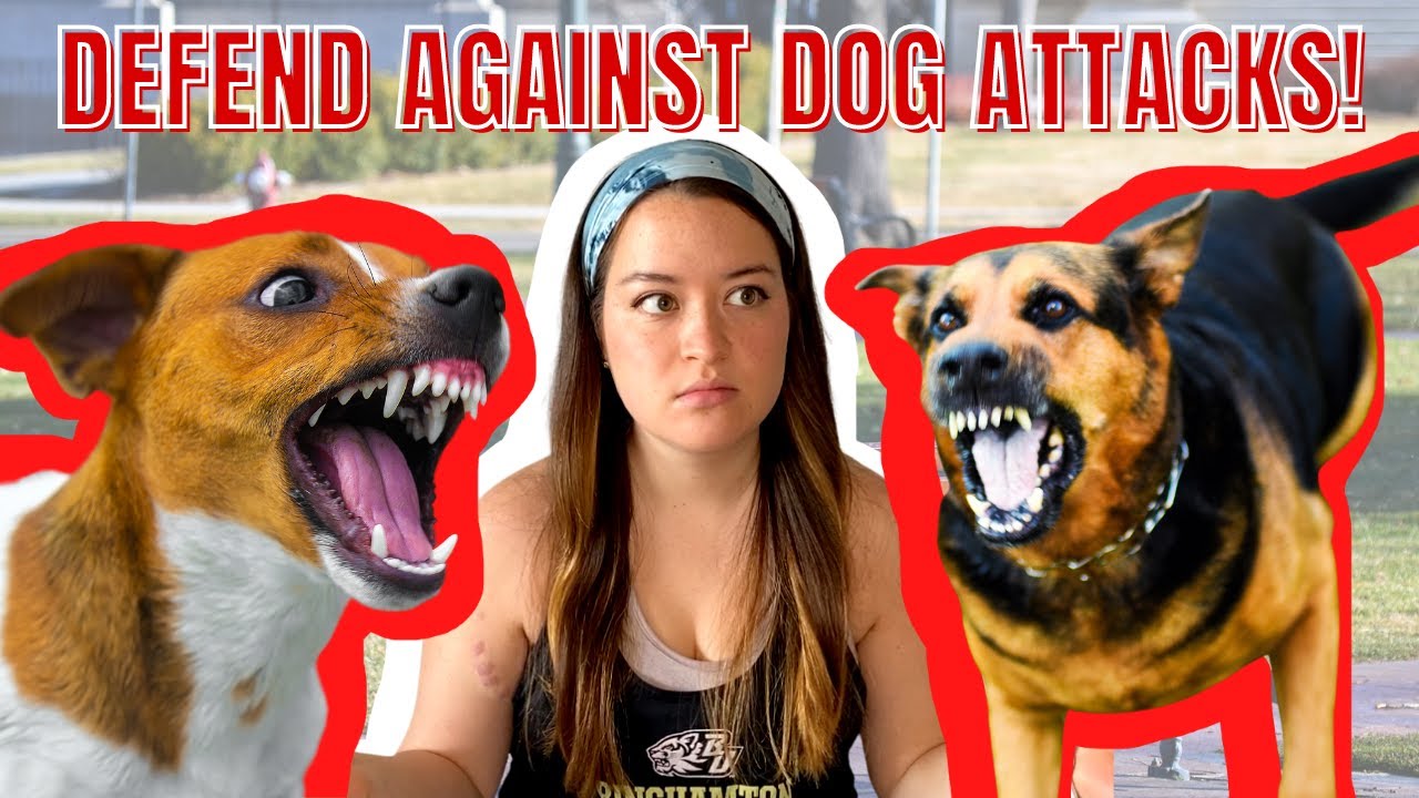 How to PROTECT YOUR DOG Against Dog Attacks (How to Be PREPARED and How