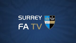 FA Respect Campaign 2015/16 Profile