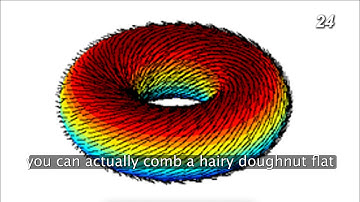 The Hairy Ball Theorem.
