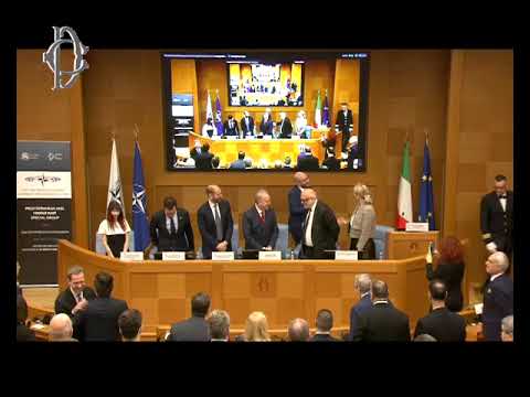 Seminar. Special Group for the Mediterranean and the Middle East, NATO Parliamentary Assembly (Fr...