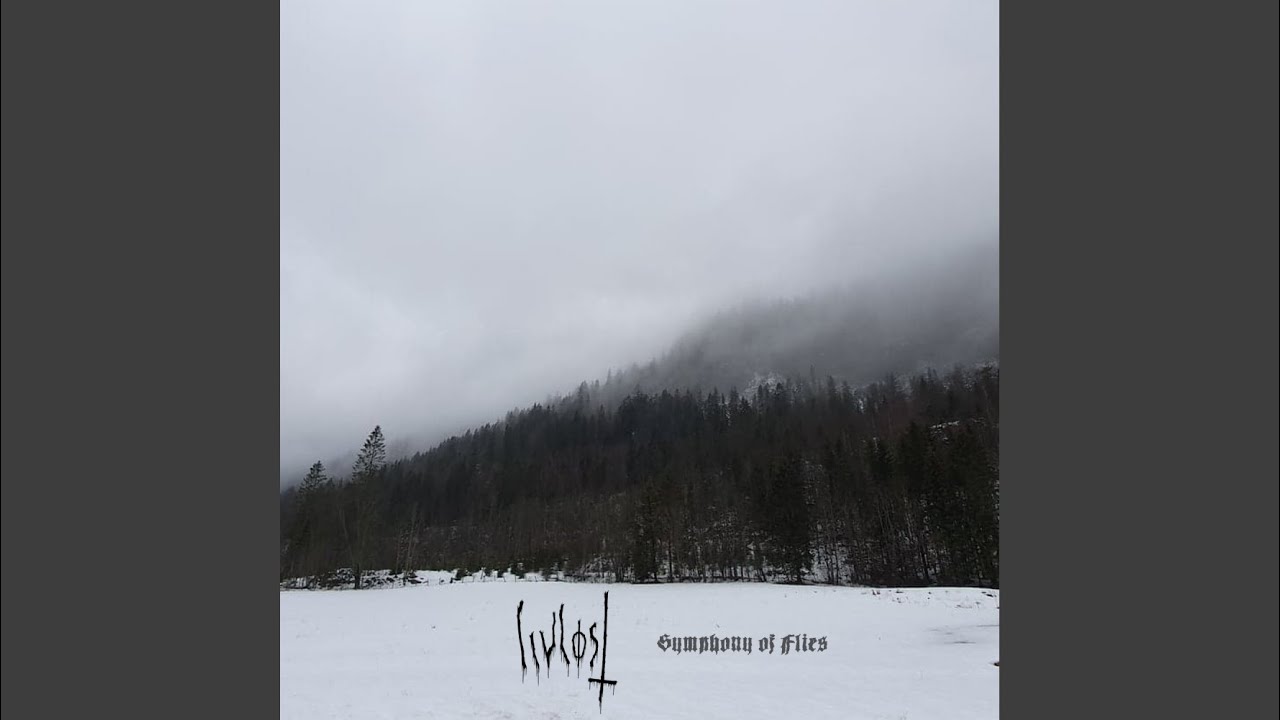 Symphony of Flies (Original Mix)