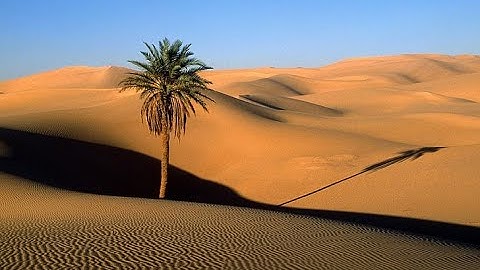 سورة مريم - ( قَالَ كَذَٰلِكَ قَالَ رَبُّكَ هُوَ عَلَيَّ هَيِّنٌ ) #الذكرى