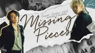 vietsub  S Missing Pieces  Super Junior De