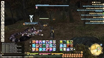 FFXIV ARR - Teleport Botting is Lame