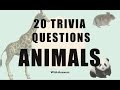 20 Trivia Questions (Animals) No. 1