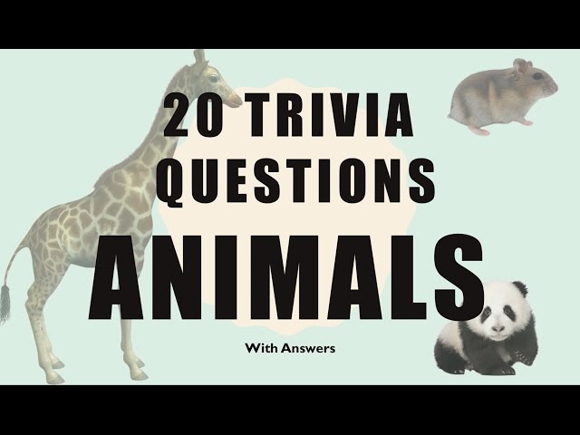 Quiz de Trivia de Animais – 12 Perguntas e Respostas sobre o Reino Animal –  Responda Rápido #1 🦒🦎🐯🐸 