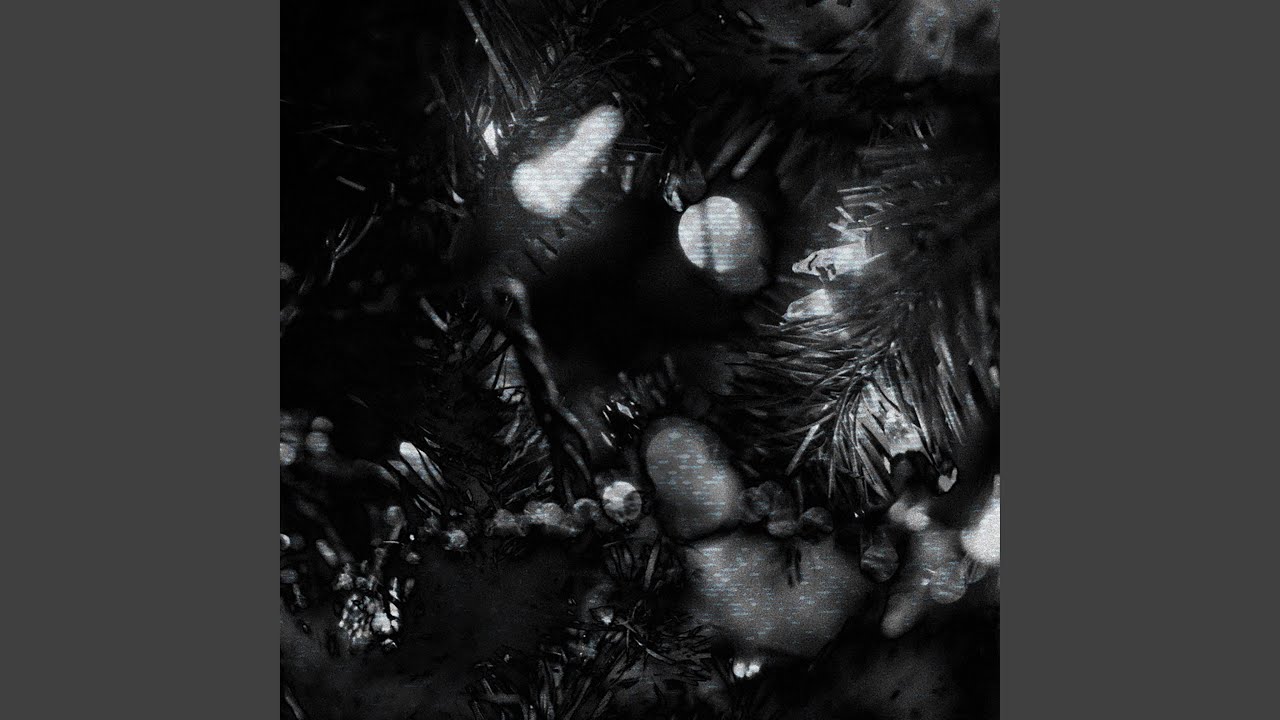 YouTubeでunknownを視聴 YouTubeでunknownを視聴