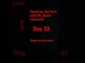 Speaking dog facts until @MrBeast comments Day 23 #dogsrule