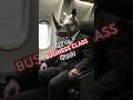 Endangered Black Rhinos कि बिजनेस क्लास Flight 😱🦏 #shorts #facts #trending #viral