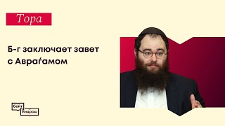 видео: Б-г заключает завет с Авраѓамом картинка: Б-г заключает завет с Авраѓамом