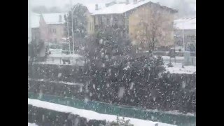 Nevicata ad Aosta 7.1.2016- by Faffyssimo