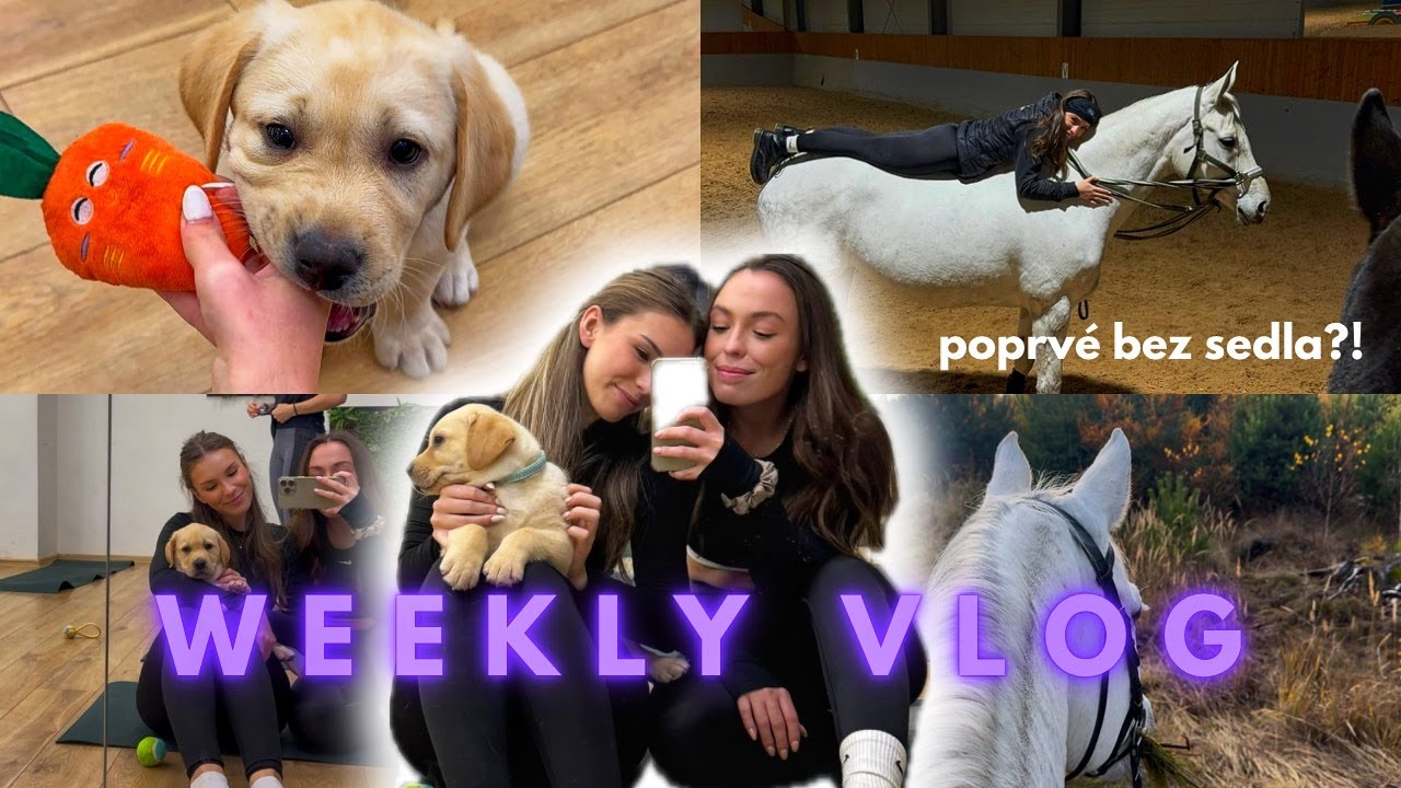 PRVNÍ JÍZDA BEZ SEDLA!! 🐴 + PUPPY YOGA & CELEJ VÍKEND V PRAZE