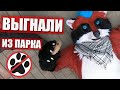 Нас ВЫГНАЛИ из ПАРКА ✅ ФУРРИ встреча в МОСКВЕ