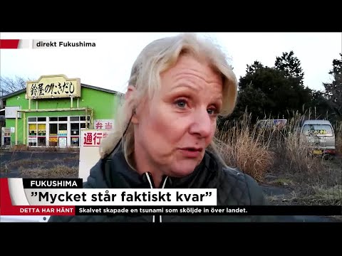 Video: Chef För Kärnkraftverket 