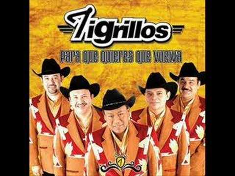 Tigrillos-mueve tu cintura