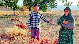 видео: Захра, женщина-кочевница с мертвым плодом в утробе, все еще ходит на работу, испытывая невыносимую б картинка: Захра, женщина-кочевница с мертвым плодом в утробе, все еще ходит на работу, испытывая невыносимую б