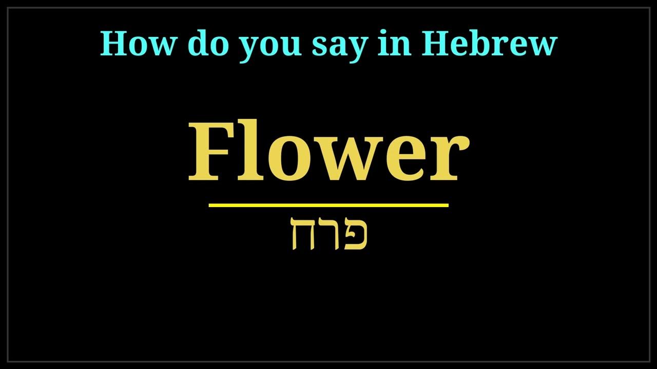 how do you say flower in hebrew YouTube