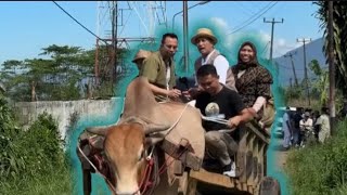 UKP Chief Raffi Ahmad Buys the Largest Cows from Kandang Setia Farm, West Java