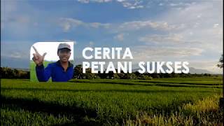 Cerita Sukses Petani Padi di Bali