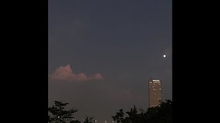 Free For Profit Polo G X Juice Wrld Type Beat Once Smotret Video Onlajn Brazil Fight Ru