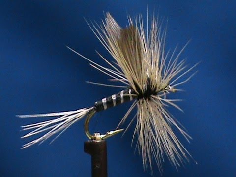 Beginner Fly Tying a Badger Variant with Jim Misiura - YouTube