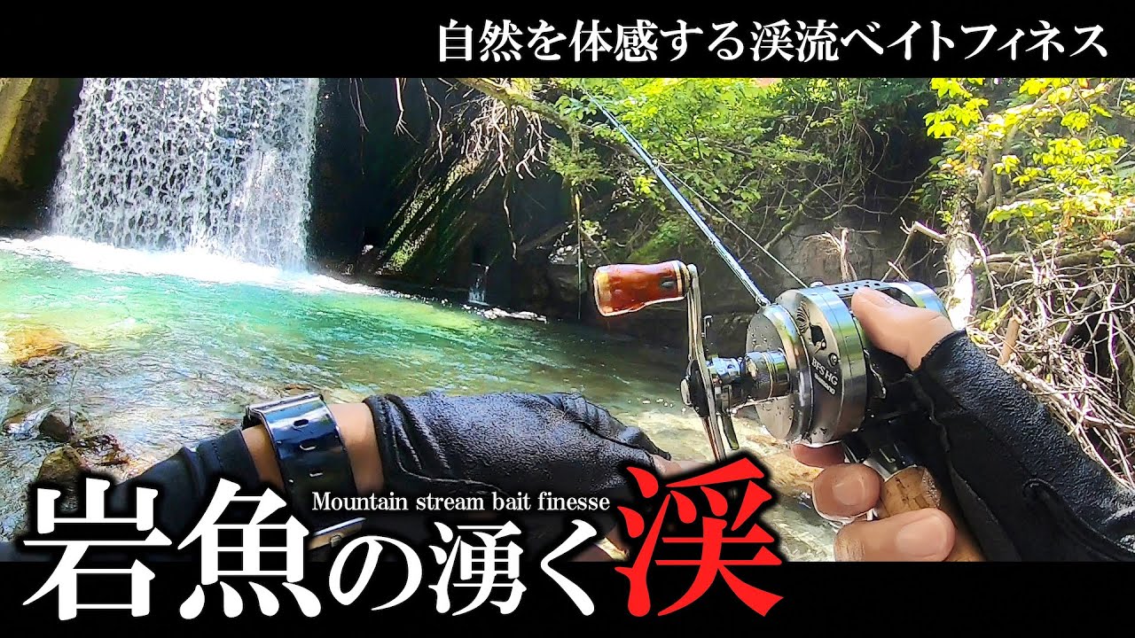 Утонченная ловля на приманку в горном ручье, сияющем изумрудно-зеленым светом