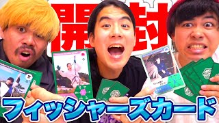 フィッシャーズ グリーニア トレーディングカード 14枚セット モトキ