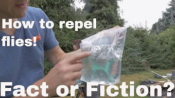 Do copper pennies repel flies?