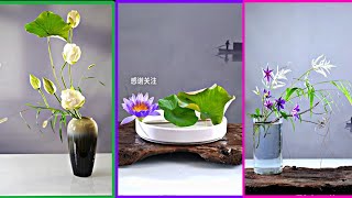 Modern Ikebana Flower Art | Lotus, Water Lily & Minimal Floral Arrangements
