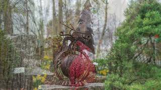 Experience Woodland Wonders!