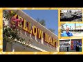 Our Desert Past: Yellow Mart