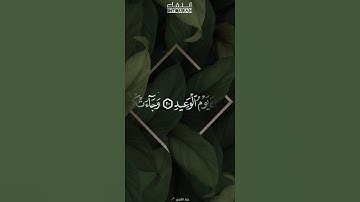 وجاءت سكرة الموت بالحق ذلك ما كنت منه تحيد #سورة #ق #رعد_الكردي #القرآن_الكريم #حالات