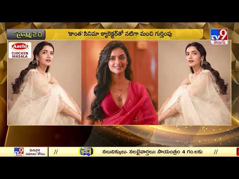 సైన్మా 2.0 :విలన్ గా నటించేందుకైనా సిద్ధమే.. : Bhagyashri Borse - TV9