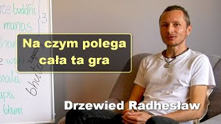 Na czym polega cała ta gra - Drzewied Radhesław screenshot 3