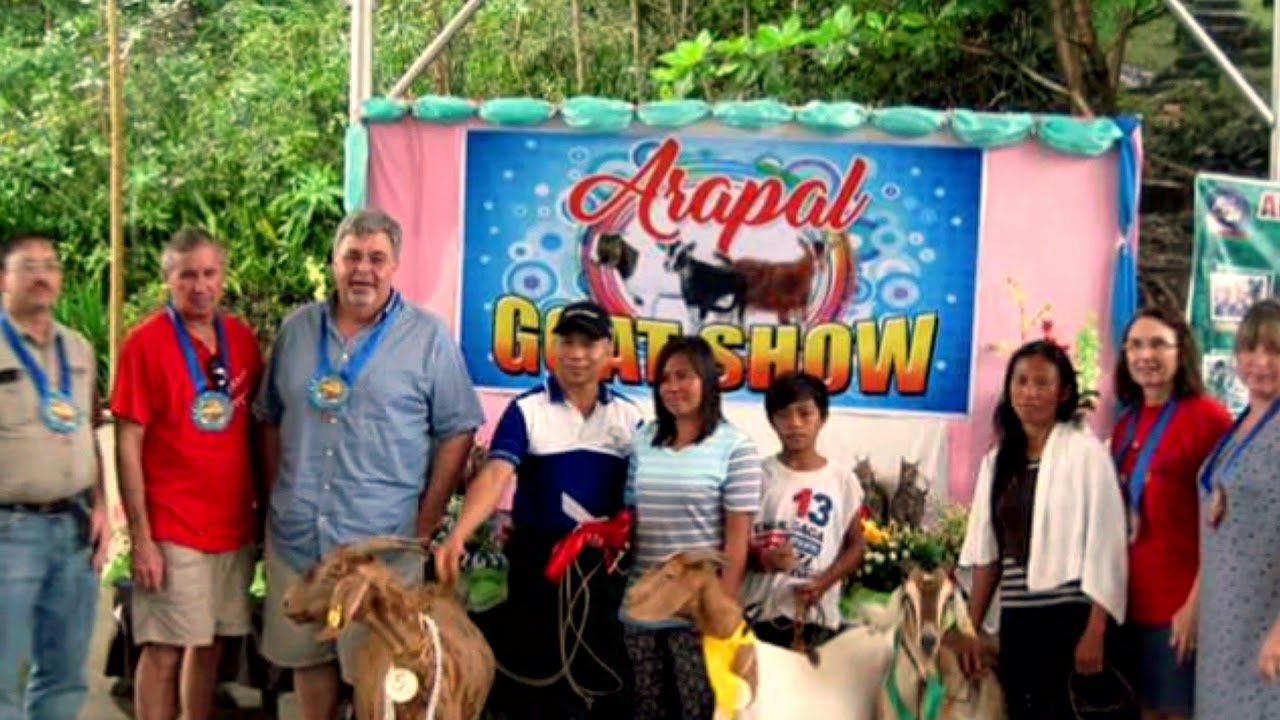#ArapalGoatShow