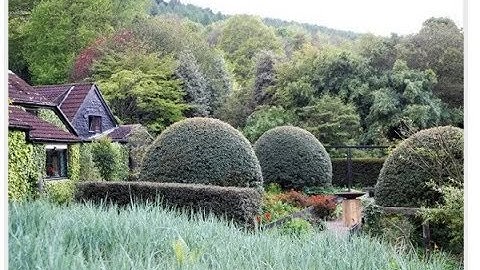 Veddw House Garden filmed for television, S4C
