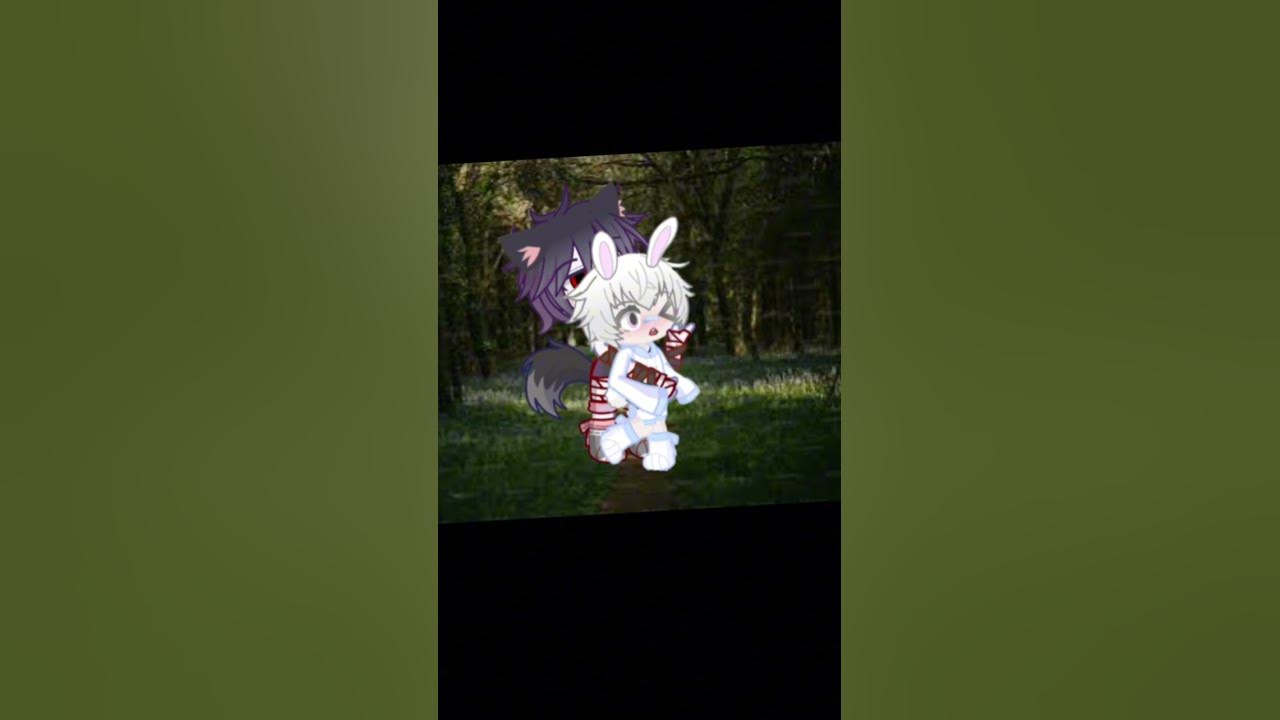 Bunny Bunny Bunny You Re So Funny Bunny bunny bunny you‘re so Funny🐺🐰♥️ - YouTube