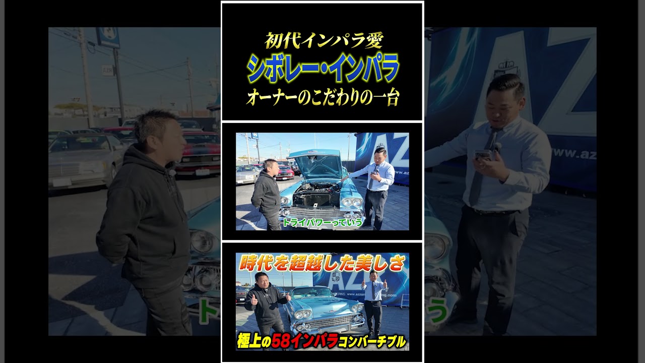 インパラ　剥製　アンティーク インパラ（ショルダーマウント）剥製 - 頭骨・骨格標本・剥製販売