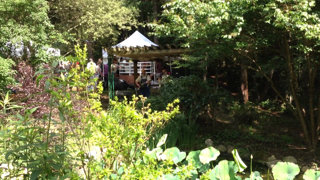 Sodbusters performing at LilyFest in Rockbridge, Ohio YouTube