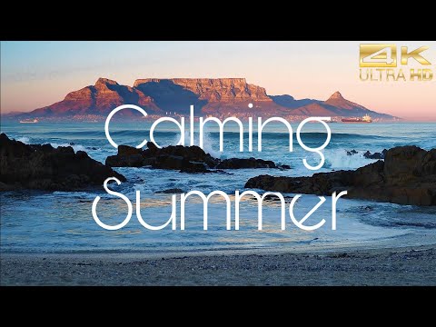 Calming Summer 4k (Ultra HD)⎜Relaxing Music⎜Earth from Above⎢Beach, Parrot, Jungle, Vibes 4k