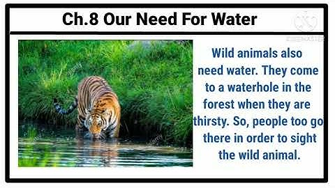 Class 3 | E.V.S | Ch.8 Our need for water | English medium | Maharashtra board |