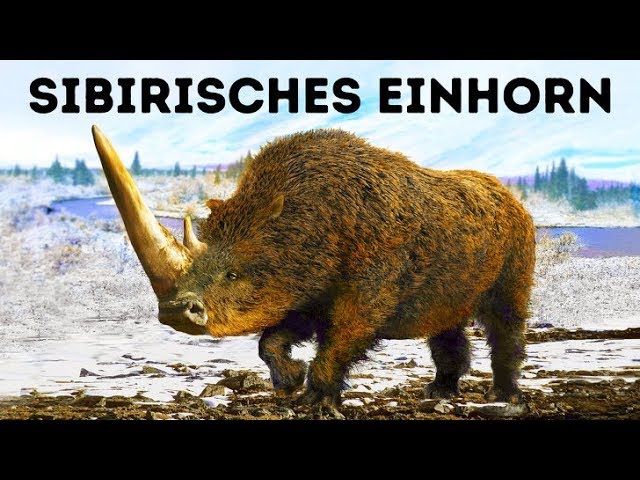 Wissenschaftler Konnen 10 Ausgestorbene Tiere Wiederbeleben Youtube